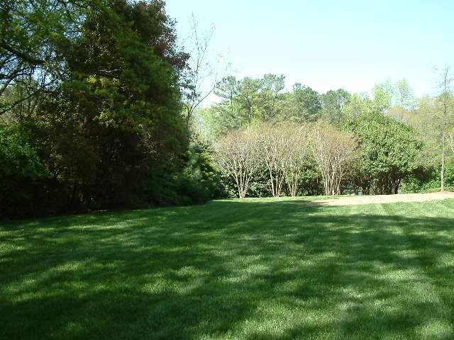Community park/lawn
